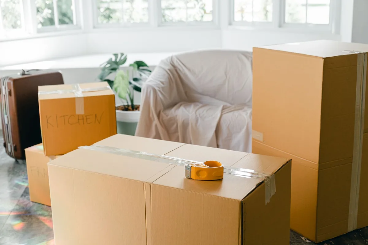 Hoarding Cleanup in Palisade, CO